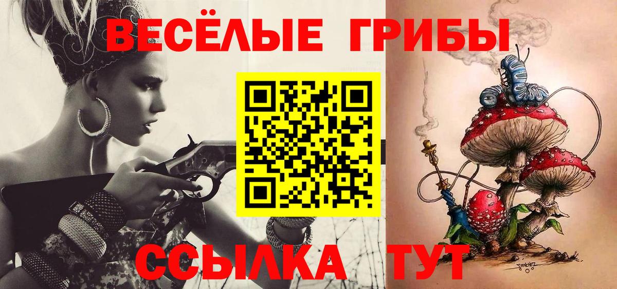 Славгород  Галлюциногенные грибы MAGIC MUSHROOMS  цена   Вход с VPN 