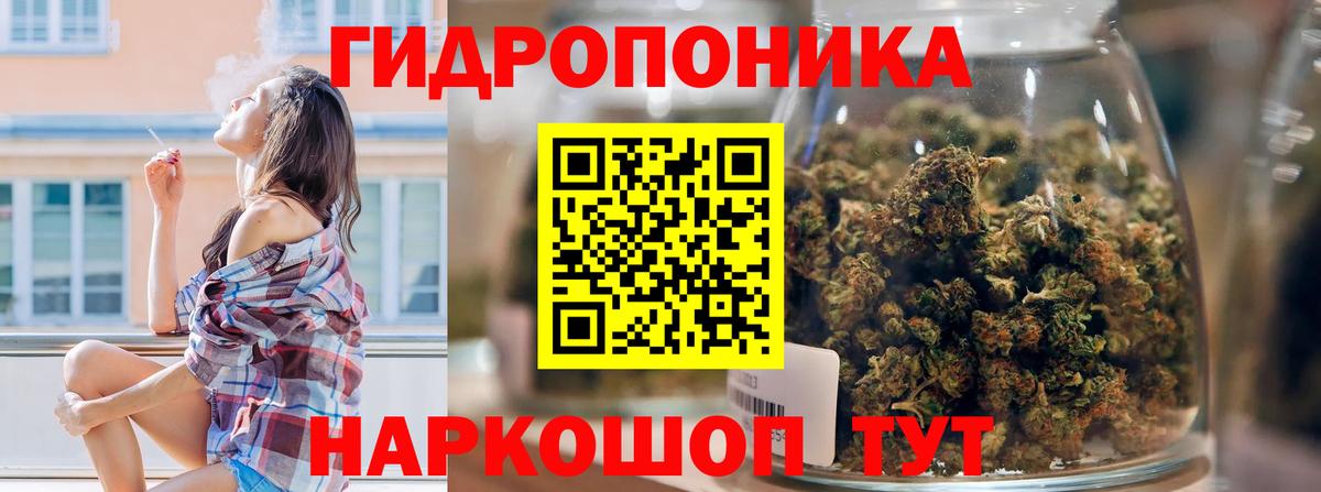 Канабис семена Славгород